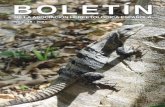 BOLETÍN - CSICmolevol.cmima.csic.es/carranza/pdf/coronella_escoriza.pdf · pirenaicas y del Sistema Ibérico. Se discuten aspectos sobre la ecología y biogeografía de esta población.