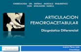 ARTICULACION FEMOROACETABULAR - kinex.cl DIFERENCIAL.pdf · KINESIOLOGIA DEL SISTEMA MUSCULO ESQUELETICO CON APLICACIÓN CLINICA. Diagnóstico Diferencial El diagnóstico diferencial