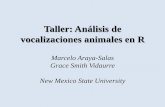 Taller: Análisis de vocalizaciones animales en Rmarceloarayasalas.weebly.com/uploads/2/5/5/2/25524573/1... · Descripción del taller: 1. Teoría básica sobre acústica/bioacústica