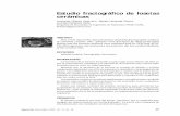 Estudio fractográfico de losetas cerámicas - …eprints.uanl.mx/10103/1/Estudio fractografico.pdf · Mientras que la mecánica de la fractura se encarga de diseñar y evaluar ...