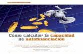 Cómo calcular la capacidad de autofinanciación - …pdfs.wke.es/6/8/4/0/pd0000066840.pdf · grado de capitalización de la empresa. Por el con-trario, estamos hablando de la capacidad