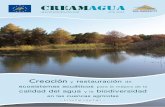 Creación y - creamagua.com · CREAMAgua estableció criterios científico-técnicos, sociales y económicos para diseñar un protocolo de selección de humedales a restaurar y utilizó