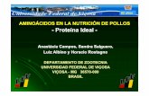 AMINOÁCIDOS EN LA NUTRICIÓN DE POLLOS -- Proteína Ideal ... · AMINOÁCIDOS EN LA NUTRICIÓN DE POLLOS - Proteína IdealProteína Ideal - ¾Introducción ¾ProteínaIdealProteína