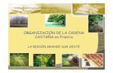 ORGANIZACIÓN DE LA CADENA CASTAÑA en Franciamediorural.xunta.gal/fileadmin/arquivos/investigacion/transferen... · wSegún una encuesta agrícola de 1852 en la sola región de Dordogne,