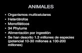 ANIMALES · muy telolecitos: moluscos, anélidos, peces, anfibios poco telolecitos: reptiles y aves. ... -Los animales tribláticos que poseen celoma, se denominan celomados.
