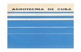 A9RCCB0 - :: Instituto hispano cubano ::€¦ · diferentes fases de la técnica ELISA para la detección de PVX, PVY y PI-AV. ROQUE, R., ... Clasificación de cultivares de tomate