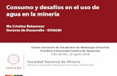 Sociedad Nacional de Minería - sonami.cl€¦ · concentraciÓn hidrometalurgia consumo unitario por proceso –minerÍa del cobre fuente: cochilco. 22 5,46 6,67 1,13 3,16