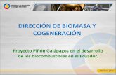 DIRECCIÓN DE BIOMASA Y COGENERACIÓN - …€¦ · Provienen de la biomasa: materia orgánica originada en un proceso biológico, espontáneo o provocado, utilizable como fuente