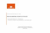 RESUMEN EJECUTIVO - codelco.com · “CONTRATO MARCO DE INGENIERÍA Y ESTUDIOS DET ... PLAZO DE EJECUCIÓN DEL SERVICIO ... descalificados de la licitación y sometidos a eventuales