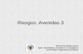 Riesgos: Avenidas 3 - E-Prints Complutenseeprints.ucm.es/26524/1/RiesgosAvenidas3.pdf · Protección de los bordes: gaviones, escolleras Paloma Fernández García . Muro para protección