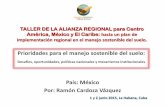 País: México Por: Ramón Cardoza Vázquez - fao.org · focales, socios, FAO, plataformas, ... acción de la AMS por la ARS-CAMC Pilar 5: Armonización de los métodos, ... en las