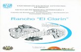 Día del ganadero 1999 - fmvz.unam.mx · EXPERIENCIAS EN EL CULTIVO INTENSIVO DE TILAPIA EN EL ... langostinos en el suelo de los estanques y plantas en la superficie del agua. ...