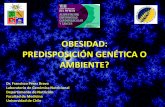 OBESIDAD: PREDISPOSICIÓN GENÉTICA O …pifrecv.utalca.cl/docs/2011/PDF_VIIICurso/OBESIDAD_PREDISPOSICIO… · enfermedades neurodegenerativas humanos y chimpances. ... en la dieta