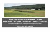 Cultivo de Cobertura con Labranza Cero en Producción ...€¦ · Labranza primaria: arado de reja y vertedera (1 vez al año) Terminación de cultivo del cobertura usando un rolo.