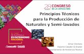 Principios Técnicos para la Producción de Naturales y …gtcafes.com/descargas/28-congreso/ppts/10-experiencias-honey.pdf · Principios Técnicos para la Producción de Naturales