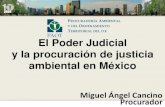 El Poder Judicial y la procuración de justicia ambiental ...paot.org.mx/contenidos/paot_docs/seminario/pdf/miercoles/Miguel... · Nulidad, Amparo, Acción Pública, Procedimiento
