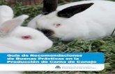 Guía de Recomendaciones de Buenas Prácticas en la ... · La producción de conejos para consumo de su carne se presenta como una opción para ampliar y complementar la oferta cárnica