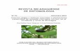 REVISTA NICARAGUENSE DE ENTOMOLOGIA - bio … · Revista Nicaragüense de Entomología. Número 73. 2013. Página 2 INSECTOS PLAGAS Y MALEZAS ASOCIADOS A PLANTACIONES COMERCIALES