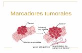 Presentación de PowerPoint - medicos.sa.cr 2013/marcadores tumoral… · TIPOS DE MARCADORES TUMORALES . Los marcadores tumores pueden ser: ... Para reducir el número de falsos