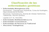 Clasificación de las enfermedades genéticas - TINETusuaris.tinet.org/aduspyma/documentos/MEDICNA/7.pdf · >El efecto depende del nº de mitocondrias afectadas en ... Parálisis