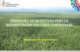Subsecretaría de Producción Forestal - World Forest … · propiedad, actualizado a la fecha de la presentación de la solicitud. ... Certificado de Intersección con el Sistema