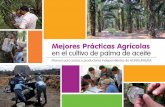 © SNV MPA.pdf · Este Manual se ha elaborado en el marco del ... que tiene Honduras de los combustibles fósiles. En el ... en las plantaciones de palma africana