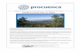Deforestación y Tala - Procuencaprocuenca.org/wp-content/uploads/2015/11/Periodico-Marzo-Abril.pdf · a electricidad, a mayor diversidad de alimentos, a crear nuevas opciones de