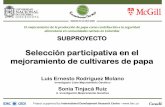 Selección participativa en el mejoramiento de cultivares ... · !La producción de papa representa la principal actividad económica en la región de Nariño, ... Grupo Phureja a