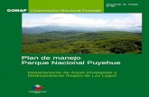 Plan de manejo Parque Nacional Puyehue - …bdrnap.mma.gob.cl/recursos/SINIA/PlandeManejo/Plan de Manejo PN... · 2.1 Criterios de Definición 15 2.2 ... naciente prolongada a la
