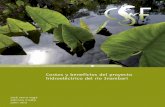 Costos y beneﬁcios del proyecto - conservation …conservation-strategy.org/.../CSF_Inambari_II_02_01_2012.pdf · ÁREA DE ESTUDIO 20 ... Aportes de la hidroeléctrica del Inambari