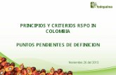 PRINCIPIOS Y CRITERIOS RSPO IN COLOMBIA … 5 Temas por Definir.pdf · FEDERACIÓN NACIONAL DE CULTIVADORES DE PALMA DE ACEITE ... discusiones iniciales, durante ... La implementación