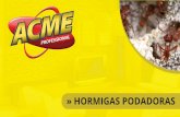 » HORMIGAS PODADORAS - | LA MARCA ACMElamarcaacme.com.ar/hormigadejardin.pdf · La actividad de las hormigas está en relación a la temperatura ambiente. ... Se distribuyen por