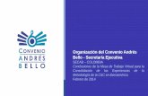 Organización del Convenio Andrés Bello - Secretaría Ejecutivaconvenioandresbello.org/cuenta_satelite/docs/Convenio-Andres-Bello... · •Creación de comisiones interinstitucionales