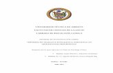 UNIVERSIDAD TÉCNICA DE AMBATO FACULTAD …repositorio.uta.edu.ec/bitstream/123456789/25913/2/TESIS ALEJANDRA... · INFORME DE INVESTIGACIÓN SOBRE: ... 4.3 Resultados del Inventario