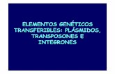 ELEMENTOS GEN ÉTICOS TRANSFERIBLES: PL … · - tipica de fagos - gram-positivos y gram-negativos ... - gen sin promotor y con un sitio de recombinacion en su extremo ... desinfectantes