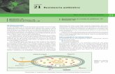 Capítulo 21 Resistencia antibiótica - Biblioteca Virtual …bibliotecas.unr.edu.ar/muestra/medica_panamericana/9786077743484.… · meno se debe en gran medida al uso indiscriminado