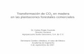 Transformación de CO en madera en las plantaciones ... · RESUMEN EJECUTIVO El CO 2 es uno de los gases causantes del cambio climático y para capturarlo en el ll f ddllti ilftl