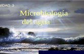 UNIDAD 3 Microbiología del aguas58669cd9b381f673.jimcontent.com/download/version/1283717583/mo… · UNIDAD 3 Virus Bacterias ... Característicos de la masa de agua natural Entran