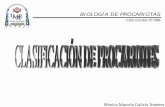 Mónica Marcela Galicia Jiménez - Biología de Procariotas · BIOLOGÍA DE PROCARIOTAS Ciclo Escolar 07-08B Clasificación •Estructura a los organismo en grupos (taxones) en base