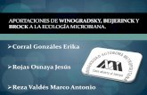 Corral Gonzáles Erika Rojas Osnaya Jesús Reza …sgpwe.izt.uam.mx/files/users/uami/aura/Binder2.pdf · utilizan los estudios del rRNA 16S,porque son secuencias que se han mantenido