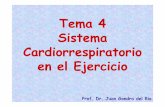 Tema 4 Sistema Cardiorrespiratorio en el Ejercicio · FUNCIONES DEL APARATO CARDIOVASCULAR DURANTE EL EJERCICIO •• Suministrar OxSuministrar Ox íígeno y combustibles. ••