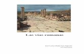 Las vias romanas - webdianoia.com · La Sociedad Romana: cómo y por qué surgieron y ... El conocimiento de la historia y de la organización de las vías romanas es todavía muy