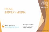 PAISAJE Y MINERÍA - nubiaconsultores.esnubiaconsultores.es/wp-content/uploads/2018/01/PAISAJE_Y_MINERIA.pdf · Los minerales metálicos suponen el 0,62% del ... Fomentar una eficiencia