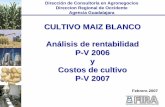 CULTIVO MAIZ BLANCO Análisis de rentabilidad P-V 2006 y Costos de … · 2011-07-20 · Participación de FIRA en la producción de maíz. 7. ... 3.1.7 Agua 0 0 0 0 0 0 0 3.1.8 Mano