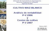 CULTIVO MAIZ BLANCO Análisis de rentabilidad P-V 2006 y Costos de …fira.gob.mx/Nd/MAIZ_PV_Ocotlan_Jal_-_Rentabilidad_2006... · 2011-07-20 · Comportamiento de los rendimientos