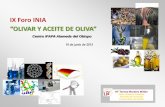 “OLIVAR Y ACEITE DE OLIVA” -  · Evaluación de la calidad sensorial del aceite de oliva virgen mediante compuestos volátiles, panel test y sensores de polímeros. FEDER 1FD97-0956-C03.