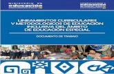 LINEAMIENTOS CURRICULARES Y … · lineamientos curriculares y metodolÓgicos de educaciÓn inclusiva del Ámbito de educaciÓn especial documento de trabajo