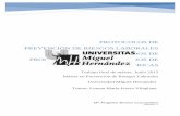 PROTOCOLOS DE PREVENCIÓN DE RIESGOS …dspace.umh.es/bitstream/11000/2160/1/TFM Benito Crouseilles, María... · Guía Técnica para la evaluación y prevención ante el riesgo eléctrico.