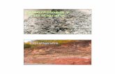 Paleontología y Estratigrafía - cuencas.fcien.edu.uycuencas.fcien.edu.uy/cursos/materiales/TablaGeo2011.pdf · Los grandes pasos en la historia de la vida en la Tierra Origen de