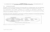 CAPÍTULO 2: EL PRINCIPAL OBJETO DEL ANÁLISIS…biblioteca.iplacex.cl/RCA/Diseño y análisis de cargos.pdf · características de cada trabajo, las exigencias y requerimientos para